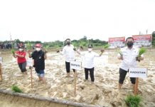 Tanam Padi dan Panen Benih Ikan Di Antan Rayan, Bupati Landak Ajak Masyarakat Tingkatkan Pertanian