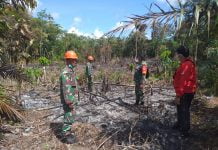 0,6 Hektar Lahan Kosong di Desa Ngarak Terbakar, Anggota Koramil Mandor di Kerahkan Cek Lokasi