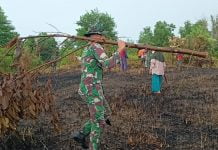 Zidam XII/Tanjungpura Bantu Kelompok Tani di Temanjuk Buka Lahan Pertanian