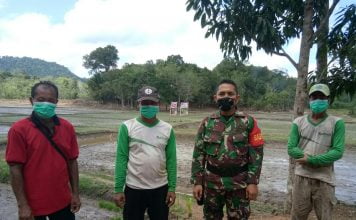 Dukung Swasembada Pangan, Babinsa Koramil Sengah Temila Terus Berikan Pendampingan Kepada Petani
