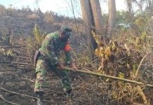 Kebakaran Lahan Kosong Terjadi di Desa Simpang Kasturi