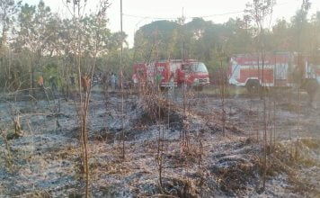 Kebakaran Lahan Dekat Permukiman Warga, Dua Unit Mobil Damkar Diterjunkan