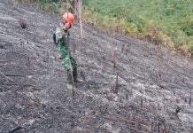 Diduga Akan Dijadikan Lahan Pertanian, 0,9 Hektar Lahan di Dusun Pasak Menyuke Terbakar