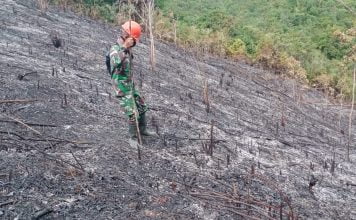 Diduga Akan Dijadikan Lahan Pertanian, 0,9 Hektar Lahan di Dusun Pasak Menyuke Terbakar