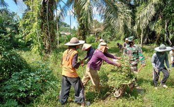 Wujudkan Kemanunggalan TNI, Anggota Denzibang 2/Palangkaraya Gelar Kerja Bhakti Besama Warga