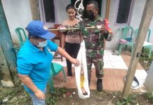 Babinsa Koramil Air Besar Dampingi Posyandu di Desa Serimbu