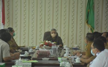 Pemkab Ketapang Evaluasi Perizinan Perkebunan Kelapa Sawit
