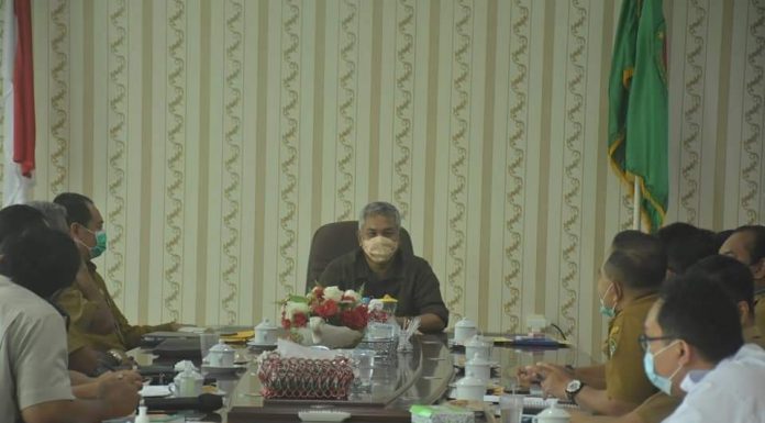 Pemkab Ketapang Evaluasi Perizinan Perkebunan Kelapa Sawit