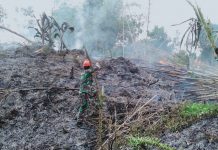 Cegah Karhutla Meluas, Babinsa Koramil Air Besar Bantu Padamkan Api di Lahan Warga