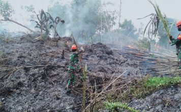 Cegah Karhutla Meluas, Babinsa Koramil Air Besar Bantu Padamkan Api di Lahan Warga