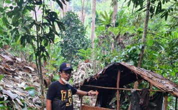 Mayat Lansia Penuh Luka Bakar di Bonti Gegerkan Warga