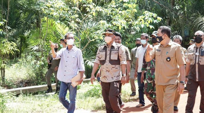 Bupati Ketapang Tinjau Rencana Pembukaan Ruas Jalan Pesaguan Kanan