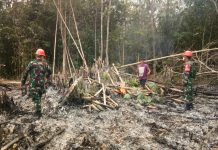 Antisipasi Api Merambat, Babinsa Koramil Sengah Temila Bantu Awasi Pembukaan Lahan Warga