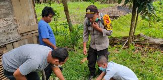 Sesosok Mayat Pria Ditemukan Tergantung Didahan Pohon Jengkol
