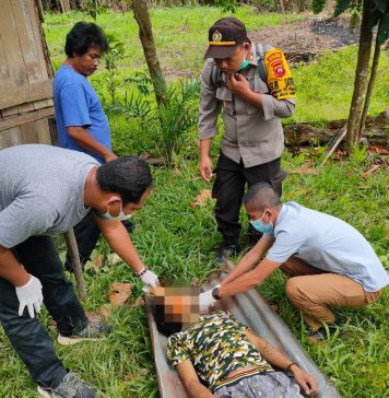 Sesosok Mayat Pria Ditemukan Tergantung Didahan Pohon Jengkol