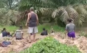 Ayah dan Anak Tenggelam di Parit Kebun Inti PTPN XIII Ngabang Ditemukan Meninggal Dunia