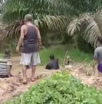 Ayah dan Anak Tenggelam di Parit Kebun Inti PTPN XIII Ngabang Ditemukan Meninggal Dunia