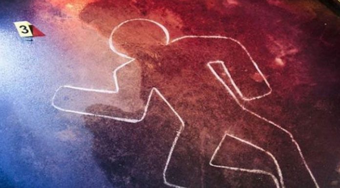 Terlindas Alat Berat, Dua Karyawan Perusahaan Perkebunan Kelapa Sawit Tewas