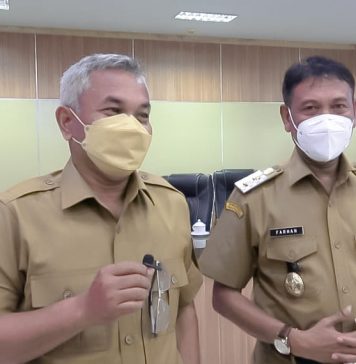 Faktor Kontur Tanah Gambut, Pemkab Ketapang Wacanakan Bangun Jalan Layang Pelang-Inhutani
