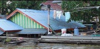 Mensos Tri Rismaharini Dikabarkan Akan Tinjau Banjir di Sekadau