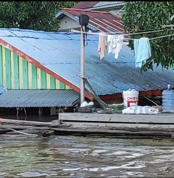 Mensos Tri Rismaharini Dikabarkan Akan Tinjau Banjir di Sekadau
