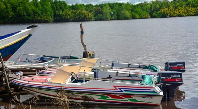 Bupati Ketapang Serahkan Dua Unit Speed Boat ke Desa Pasaguan Kanan dan Pematang Gadong