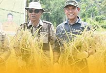 Bupati dan Wakil Bupati Ketapang Hadiri Panen Perdana Padi di Kawasan Agro Foresta Pertanian Terpadu Dusun Impala