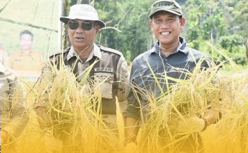 Bupati dan Wakil Bupati Ketapang Hadiri Panen Perdana Padi di Kawasan Agro Foresta Pertanian Terpadu Dusun Impala