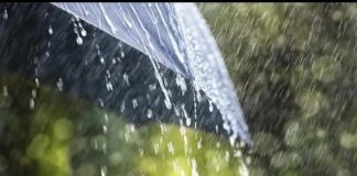 Artikel: Teruntuk Hujan