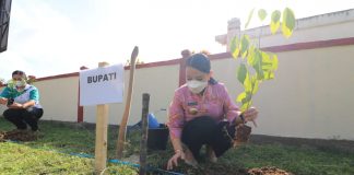 Peringati HUT 65 Pemprov Kalbar, Bupati Landak Lakukan Tanam Sejuta Pohon