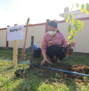 Peringati HUT 65 Pemprov Kalbar, Bupati Landak Lakukan Tanam Sejuta Pohon