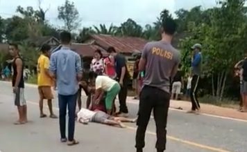 Insiden Kecelakaan di Parindu, Pengendara Sepeda Motor Tewas Dilokasi