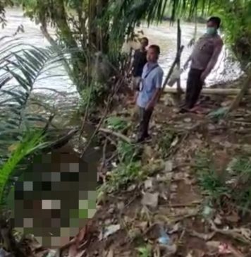 Mayat Bayi Perempuan Mengapung di Sungai Jelai, Polisi Tangkap Pelaku Kurang Dari 24 Jam