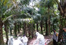 Lagi Pasien Positif COVID-19 Meninggal Dunia