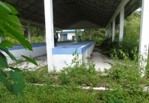 Sepi Dari Aktivitas Pedagang, Sejumlah Bangunan Pasar Inpres di Labusel Rusak dan Ditumbuhi Semak