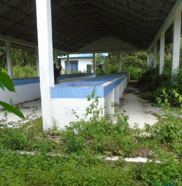 Sepi Dari Aktivitas Pedagang, Sejumlah Bangunan Pasar Inpres di Labusel Rusak dan Ditumbuhi Semak