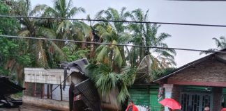 Warga Sempat Panik Saat Angin Puting Beliung Hantam Wilayah Desa Sampean