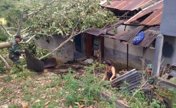 Petugas Gabungan Bantu Bersihkan Ranting Pohon Timpa Rumah Warga Pasca Diterjang Angin Puting Beliung