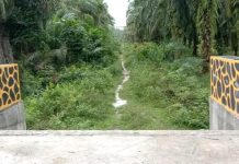 Terkendala Akses Jalan, Jembatan Penghubung di Desa Pangarungan Belum Difungsikan Secara Maksimal
