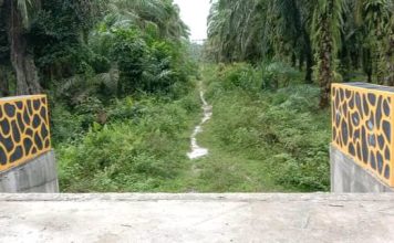 Terkendala Akses Jalan, Jembatan Penghubung di Desa Pangarungan Belum Difungsikan Secara Maksimal