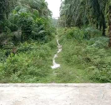 Terkendala Akses Jalan, Jembatan Penghubung di Desa Pangarungan Belum Difungsikan Secara Maksimal