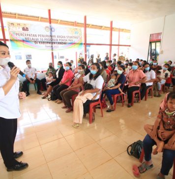 Atasi Stunting Desa Diminta Adakan Program Bagi Ibu Hamil
