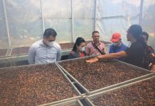 Kunker Kayong Utara, Bupati Landak Belajar Budidaya Kopi