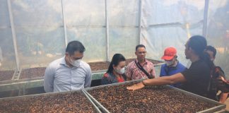 Kunker Kayong Utara, Bupati Landak Belajar Budidaya Kopi