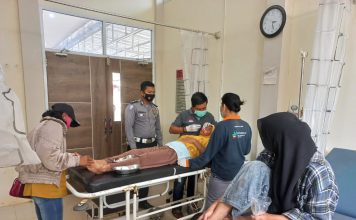 Hindari Anjing, Pengendara Sepeda Motor Terlibat Kecelakaan Tunggal