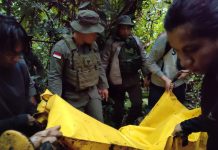 Satu DPO Teroris MIT Berhasil Dilumpuhkan Satgas Madago Raya