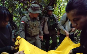 Satu DPO Teroris MIT Berhasil Dilumpuhkan Satgas Madago Raya