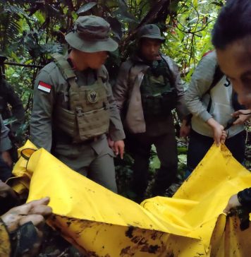Satu DPO Teroris MIT Berhasil Dilumpuhkan Satgas Madago Raya