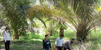 Sejumlah Warga Menjalin Terserang Diare, Puskesmas Menjalin Lakukan Pengecekan Air Gunung Samabue