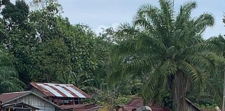 Truk Pengangkut Sembako Terperosok di Dermaga Penyebrangan Sungai Ayak